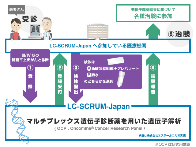 LC-SCRUM-Japanにおける研究の流れ
